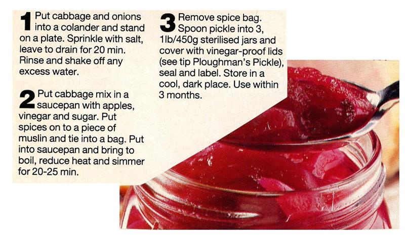 Scan 2 of 2 for Pickled Red Cabbage with Apple