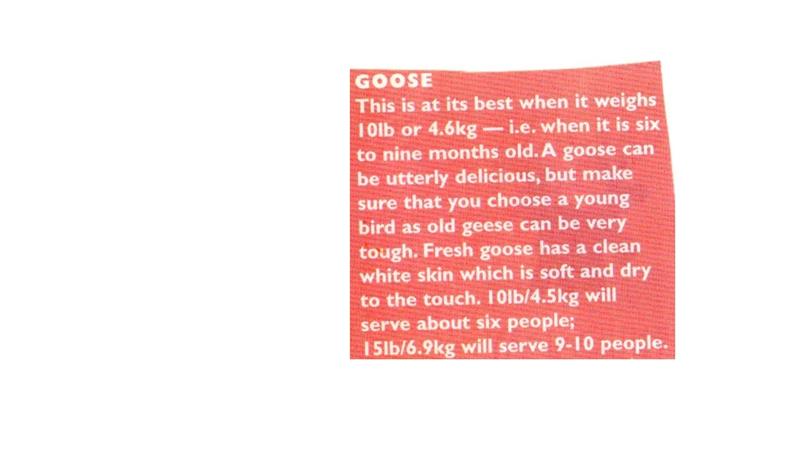 Scan 1 of 1 for Goose