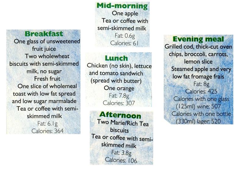 Scan 1 of 1 for Mid-Morning Diet Day Plan