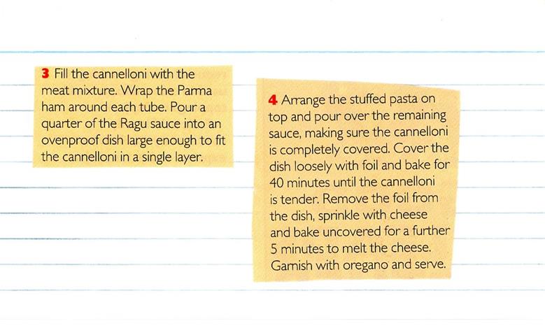 Scan 2 of 2 for Turkey Cannelloni