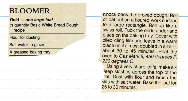 Scan 1 of 1 for Bloomer