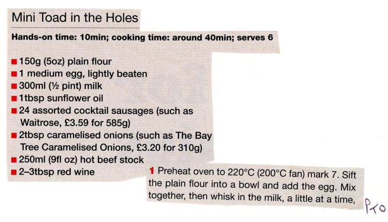 Scan 1 of 2 for Mini Toad in the Holes