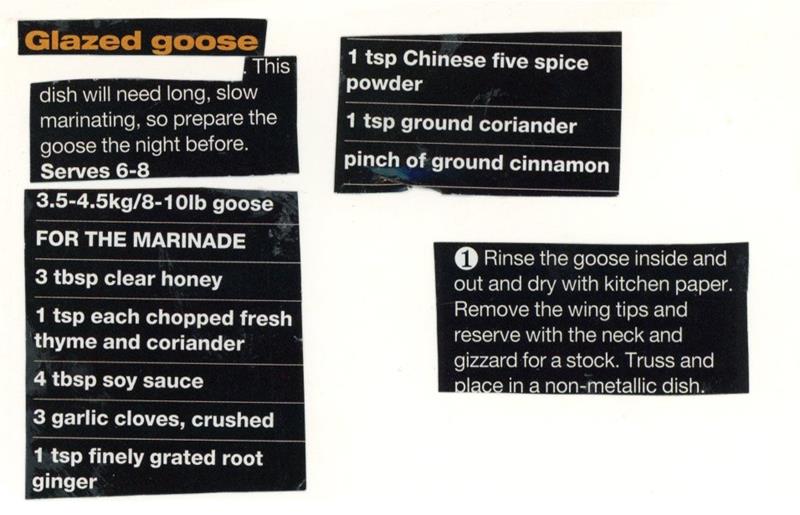 Scan 1 of 2 for Glazed Goose