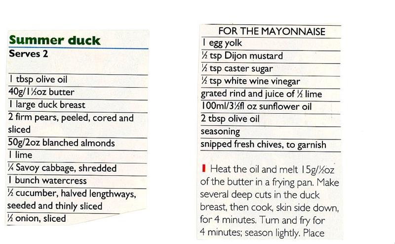 Scan 1 of 2 for Summer Duck
